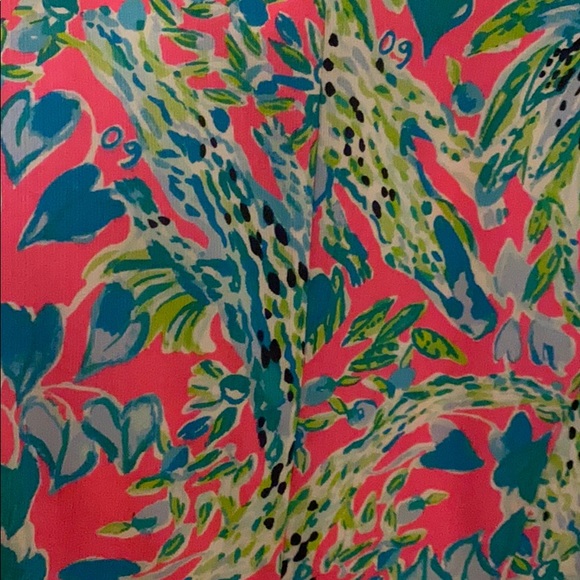 Lily Pulitzer Shift Dress - Picture 4 of 4